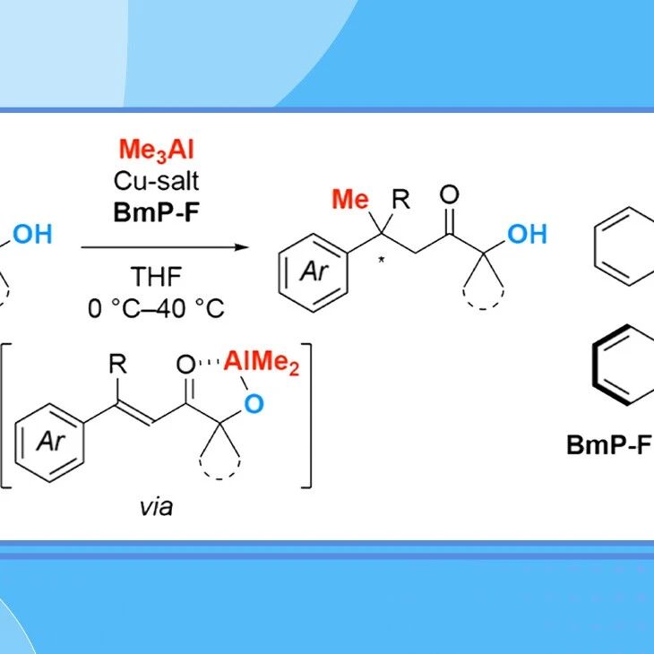 【J. Org. Chem.】东京理科大学Kohei Endo：羟基辅助的铜催化不对称共轭加成构建全碳季碳中心