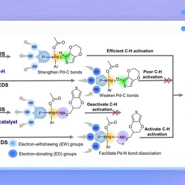 上海大学朱波教授团队Chem. Sci.：通过配位调控实现富电子芳烃的直接芳基化聚合及极性基团耐受性