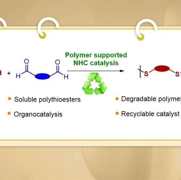 杭州师范大学张萍露课题组Macromolecules：可回收NHC催化二硫醇与二醛聚合制备可降解聚硫酯