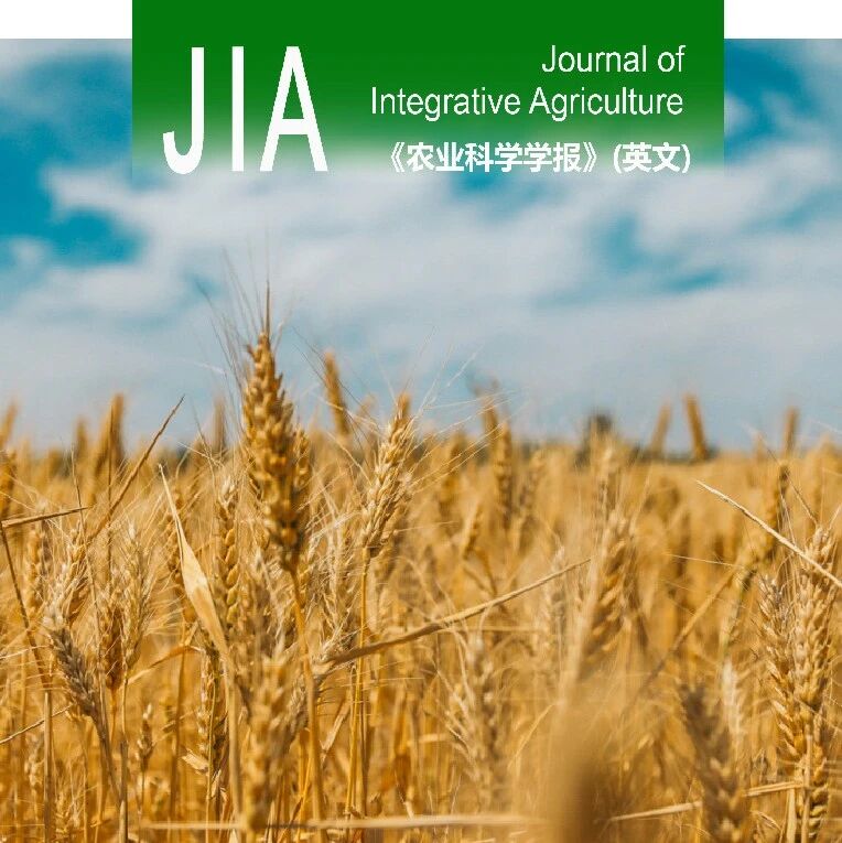 JIA优先上线 | 南京农业大学戴廷波教授课题组发现低红光/远红光比值通过阻碍小麦叶片碳水化合物的产生和分配来抑制穗发育