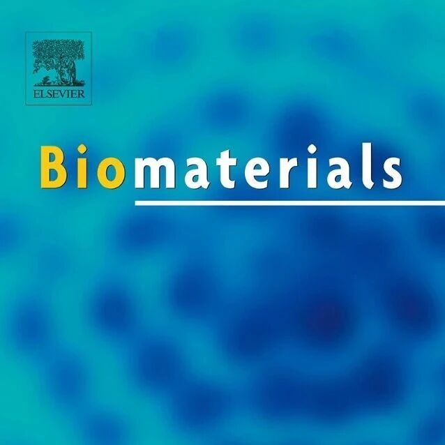 武汉大学/中山大学Biomaterials：模块化设计杂合囊泡作为双佐剂纳米疫苗用于癌症免疫治疗