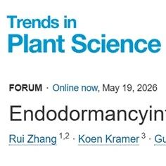 Trends in Plant Science | 树木休眠研究新进展！浙江农林大学团队提出 “休眠强度” 新性状