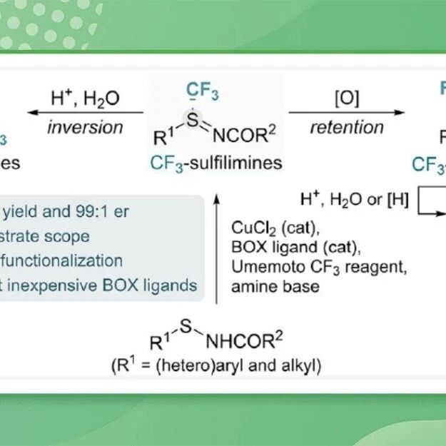 JACS：S-三氟甲基亚砜和亚磺酰亚胺药效团的不对称合成