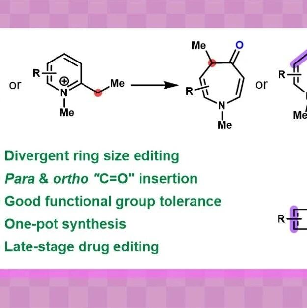 武汉大学闵昶课题组JACS：吡啶鎓盐的发散性骨架编辑：通过”形式”羰基插入合成氮杂䓬酮和吡咯烷酮