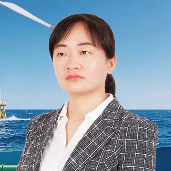 The Innovation Webinar #200 | 韩梦瑶：海上风力驱动绿色氢气生产的技术发展轨迹和成本效益