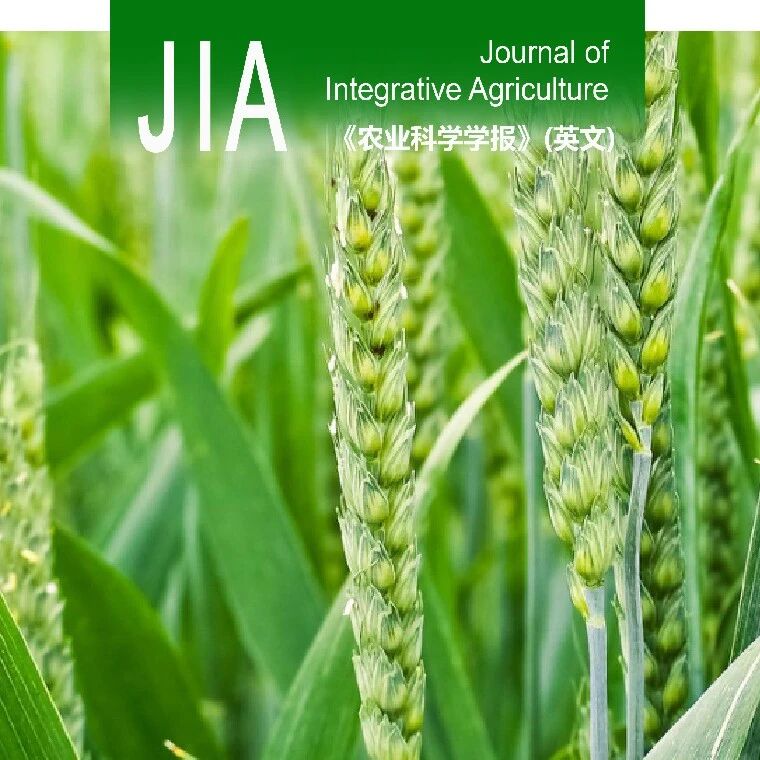 JIA优先上线 | 扬州大学智慧农业研究院孙成明教授课题组基于多源遥感数据估算地上生物量生长曲线参数提升小麦产量估测精度