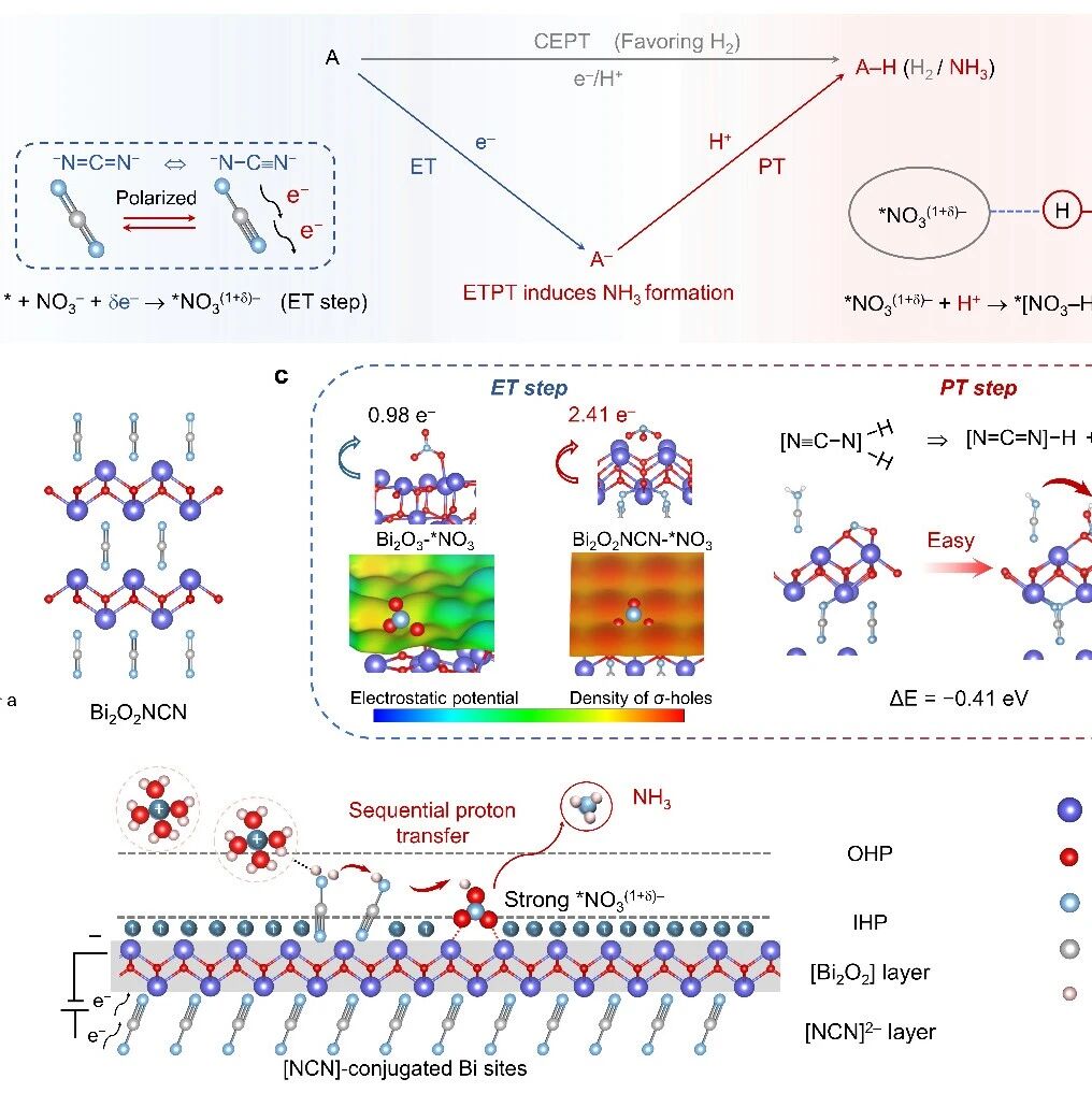 上海交通大学黄富强&台州学院王家成，最新JACS：顺序电子-质子转移实现选择性电合成氨