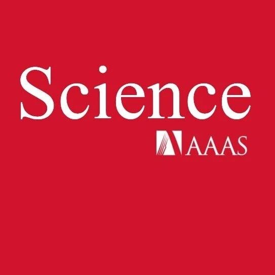华中科技大学，Science+1！