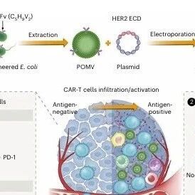 哈尔滨医科大学，《Nature biomedical engineering》