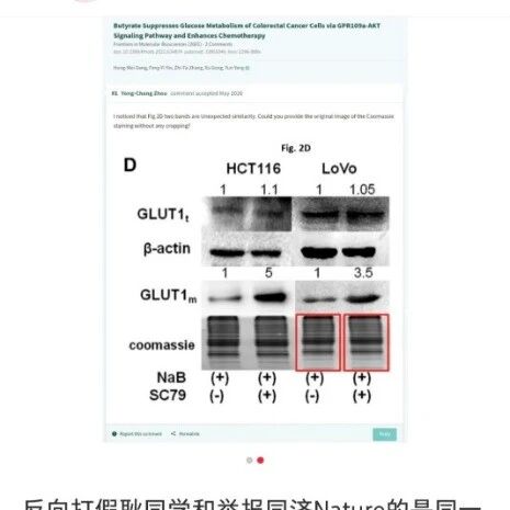 耿同学被“反向打假”！论文被质疑数据造假：初查结果出来了