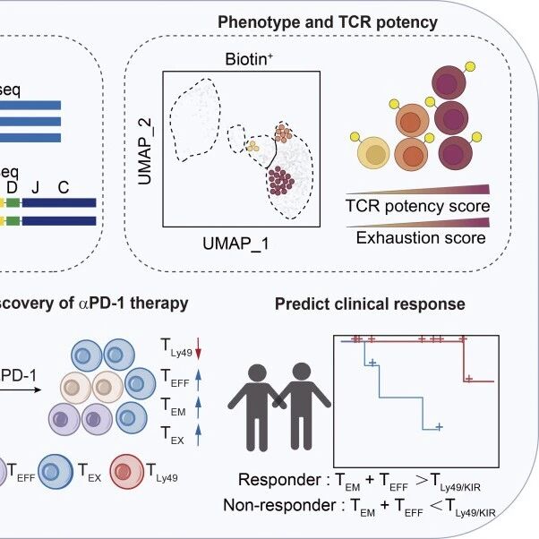 JEM | 徐萌/陈鹏合作开发PRECISE-seq 技术，可同时解码T细胞抗原特异性、功能亲和力与表型状态