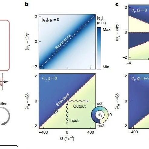国防科技大学最新Nature