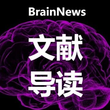 Nat子刊 | 鱼类靠领地、小鼠靠打架、人类靠联盟：大脑如何决定谁在群体中更有地位？