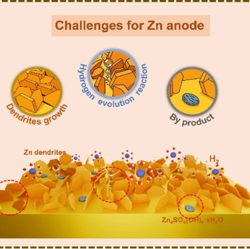 华北电力大学吕玮/徐超&中南大学雷永鹏Advanced Powder Materials：道法自然—仿生电化学系统性推动水系锌离子电池升级