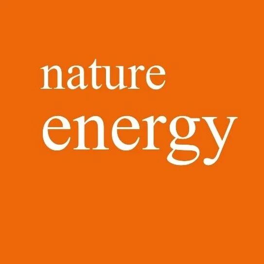 武汉理工大学，Nature Energy！