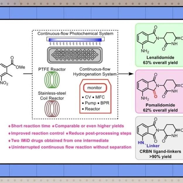 【Commun. Chem.】哈工大（深圳）陈芬儿院士/游恒志教授团队：通过连续流化学加速合成免疫调节酰亚胺药物及其衍生物
