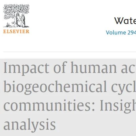 【美文赏析】华东师范大学刘敏联合香港城市大学韩萍团队Water Research: 从互助到互害——人类活动如何重写地下水微生物的生存剧本
