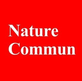 校企联手！中山大学高平奇教授/林豪&隆基绿能Nature子刊 | 内置旁路二极管太阳电池结构提升光伏组件抗遮荫能力！