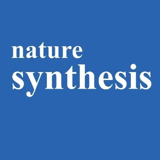 东南大学，Nature Synthesis+1！