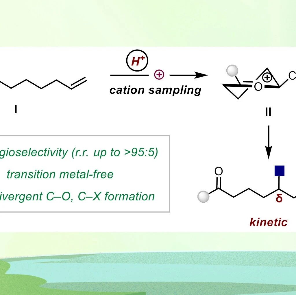 【JACS】维也纳大学Nuno Maulide：阳离子采样策略实现酮的区域发散性远端官能团化