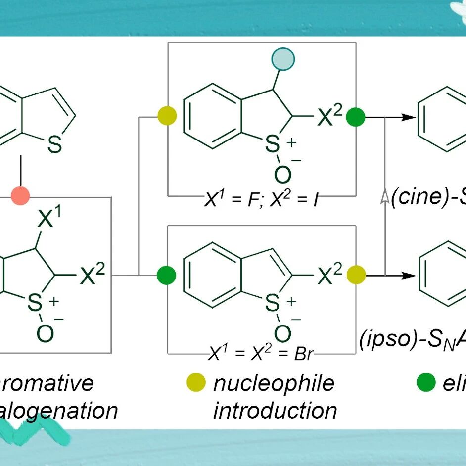 【Org. Lett.】华中科技大学黄吉荣课题组：去芳构化卤化平台实现苯并噻吩位点选择性偶联
