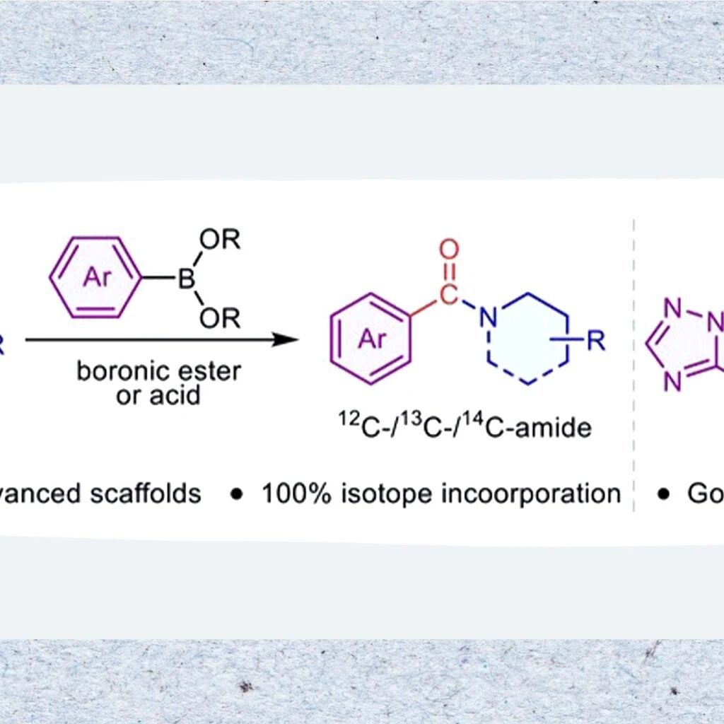 【Angew. Chem.】丹麦奥胡斯大学教授、三院院士Troels Skrydstrup：用于碳同位素标记和药物多样化的钯酰胺试剂