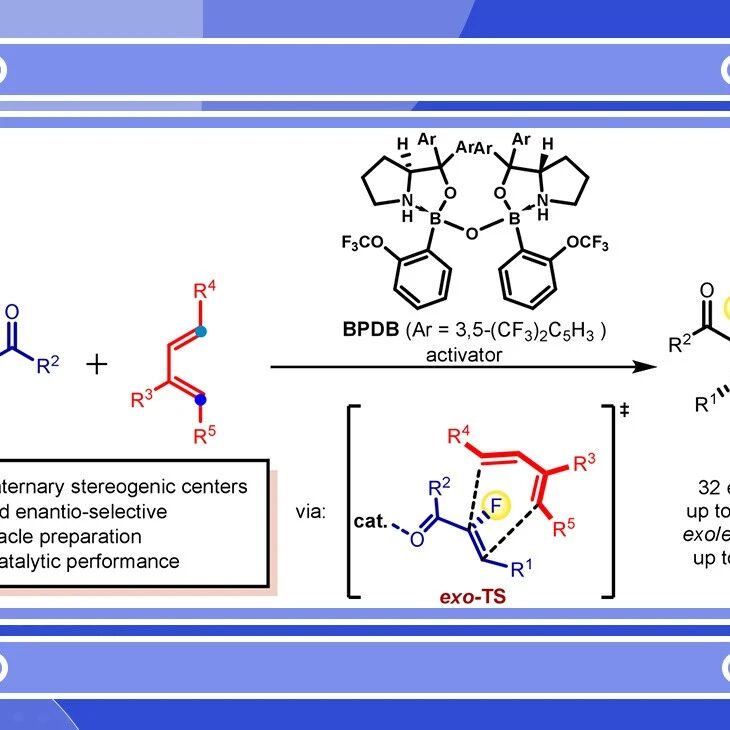 【Org. Lett.】北京大学杨震/张仲超课题组：双吡咯烷双硼酸酯(BPDB)催化exo-Diels–Alder反应实现含氟季碳手性中心不对称合成