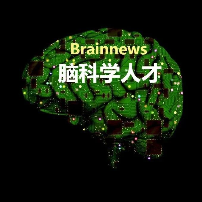 丛丰裕教授出任大连大学副校长，深耕脑机接口与类脑智能