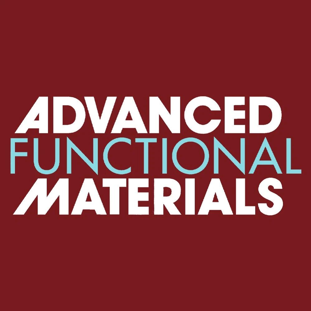 最新AFM：偶极场效应调控导电剂/硅界面，实现Si负极面容量高达10.2 mAh cm–2