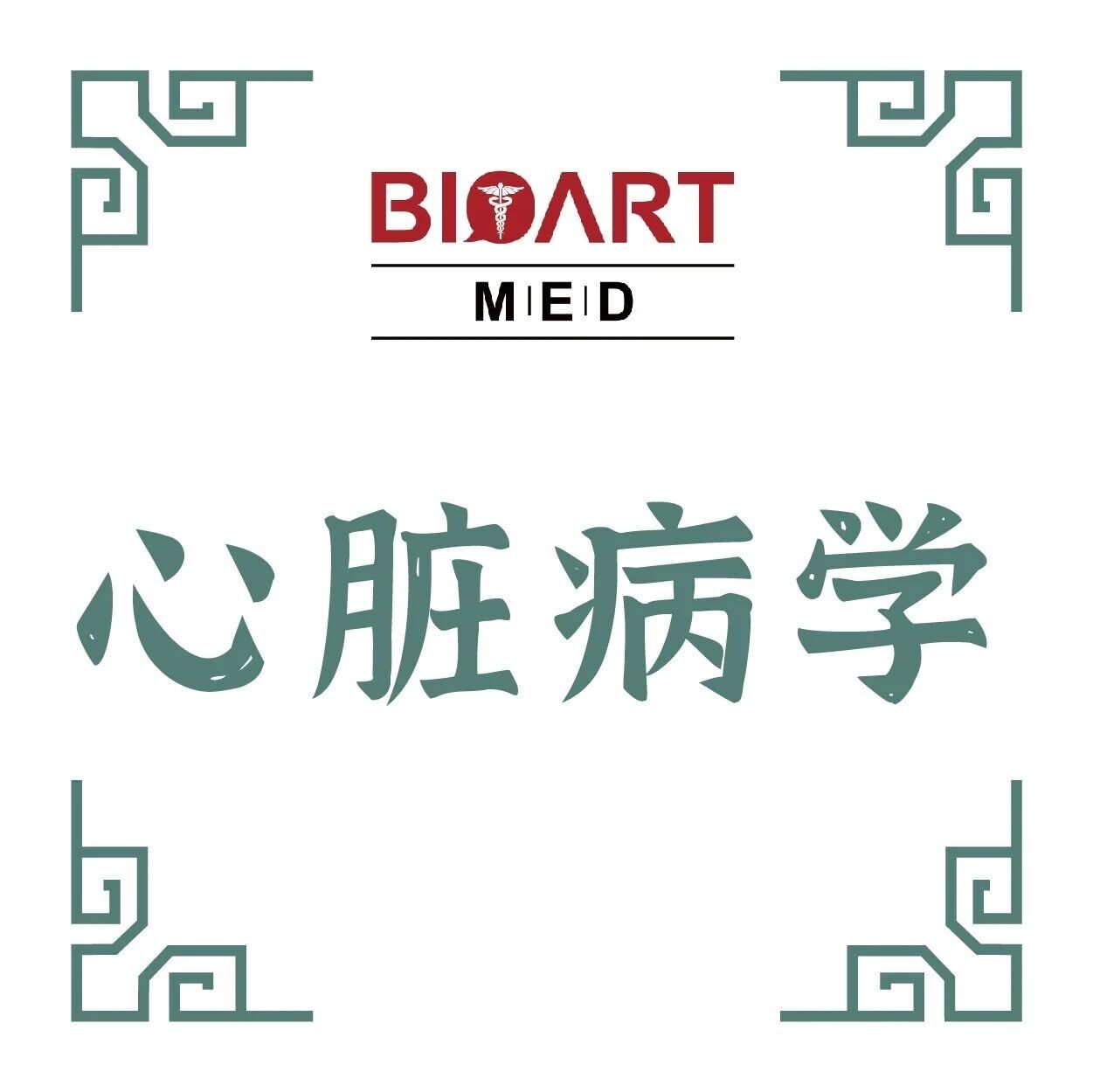 Autophagy | 崔鸣团队/卢广团队揭示PRKN通过降解IMMT促进心肌细胞铁死亡加重缺血再灌注损伤的新机制