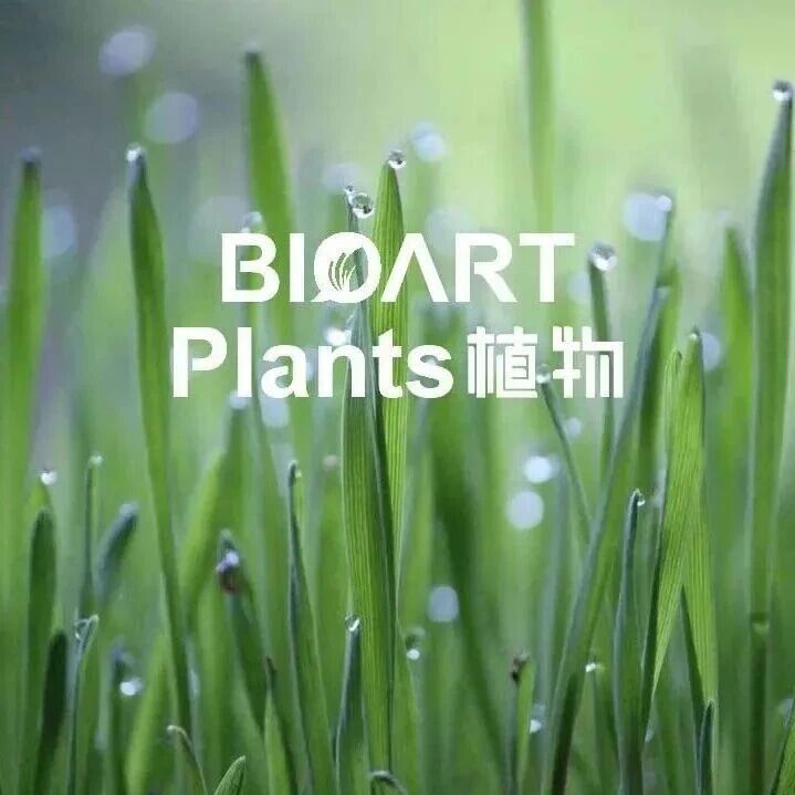 PJ | 聊城大学/山东农业大学发现ADF8/11介导根毛发育与应答环境-激素信号