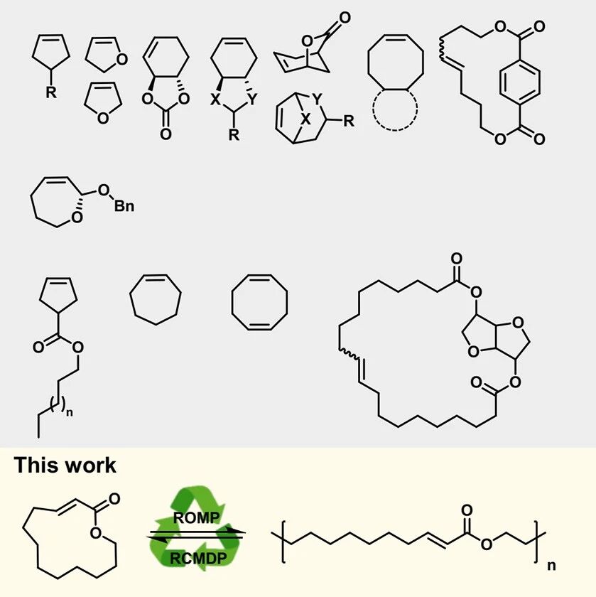 南林沙野 Angew: 基于环烯酸酯单体构筑化学可回收结晶高分子