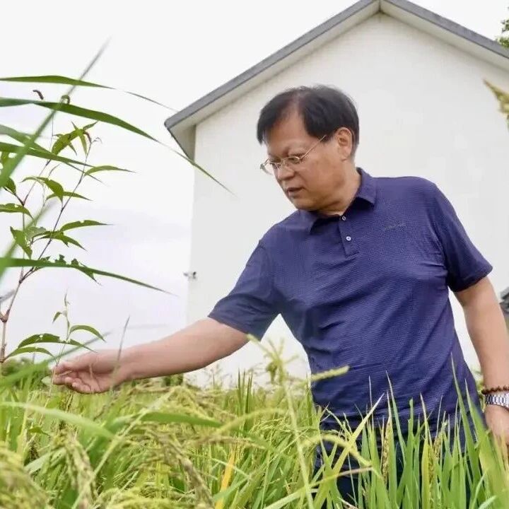 祝贺！朱永官院士，团队在顶刊（IF=27.1）发表研究论文