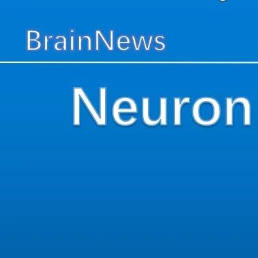 Neuron：空医大团队报道 VTA 多巴胺神经元爆发式放电是压力破坏睡眠的重要元凶