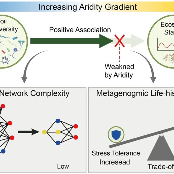 Global Change Biology | 干旱越强，土壤生物多样性对生态系统的稳定效应越弱