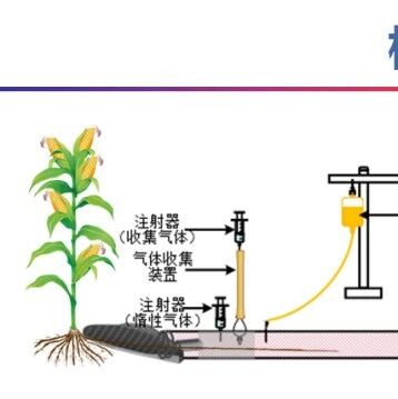 Journal Ecology：根系分泌物何尝不是根系功能性状呢，以草原物种为例