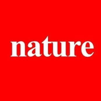 「国家杰青」刘心元领衔！南方科技大学顾强帅重磅Nature Synthesis丨铜催化不对称自由基烷基化合成硫手性亚砜亚胺！