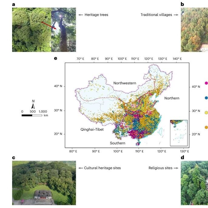 北京大学生态中心唐志尧团队《Nature Sustainability》最新研究成果！