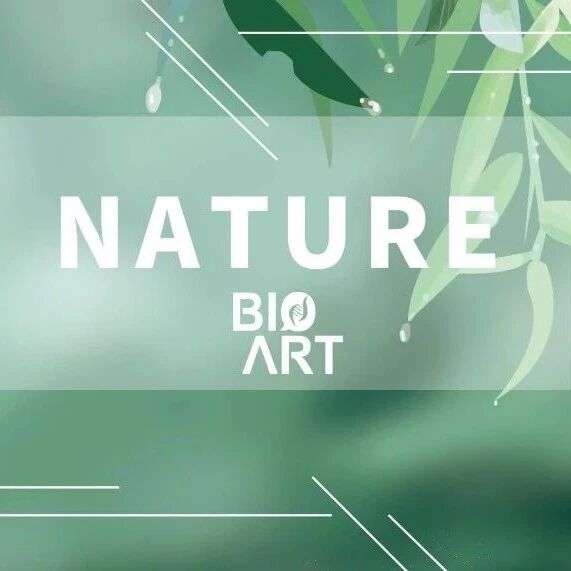 Nature丨孙金鹏团队，肖鹏团队等合作揭示β-arrestin 凝聚体调控 GPCR 区域性信号转导的重要机制