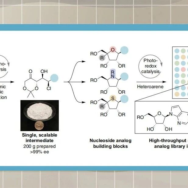 Science：核苷类似物统一式模块化合成方法