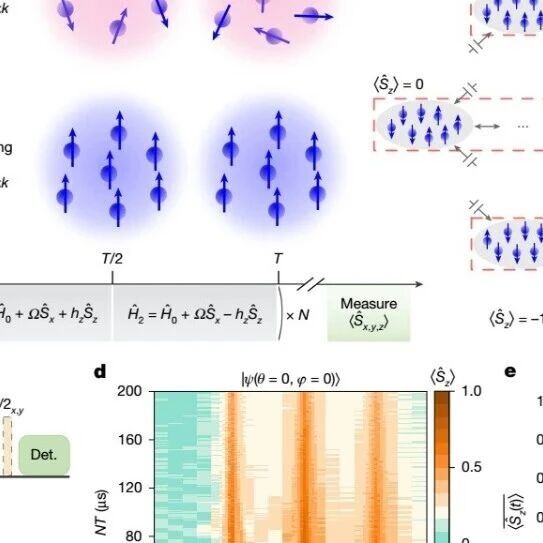 清华大学最新Nature
