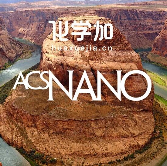 东华大学陈前进课题组ACS Nano：单颗粒电化学探究手性金纳米晶的自旋极化调控的析氧反应