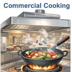 清华大学王书肖团队ACS ES&T Air：中国典型商业烹饪过程中全挥发性范围有机化合物的排放特征