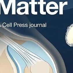 Matter封面文章：3D打印蚕丝增强仿生半月板