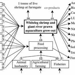 Reviews in Aquaculture | 从方法论依赖性与分析盲点揭示对虾生命周期评估的现状与困局