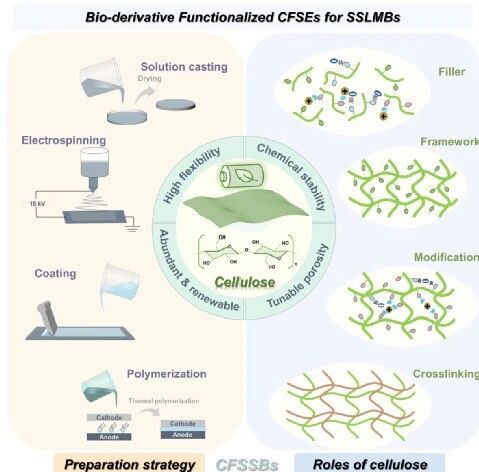 福州大学郑云/张久俊Materials Today综述:生物衍生功能化聚合物电解质