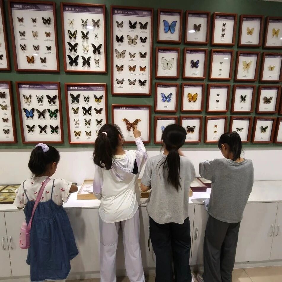 【科技活动周】山东理工大学生命与医药学院成功举办“走进微观世界，探秘奇妙基因”实验室开放日活动