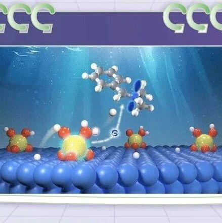 厦大郑南峰教授、秦瑞轩教授、魏现奎教授合作JACS：非贵金属反负载单原子钨催化剂高效催化还原胺化