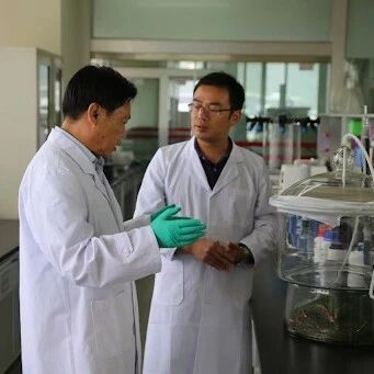 云南农业大学副校长团队在植物学顶级期刊发表论文，一项跨越十年的研究，重新定义土传病害防控