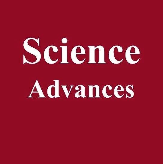 量子顺电体 KTaO₃ 中的自旋玻璃：超临界 CO₂ 诱导的单斜相